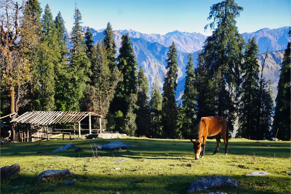 J&K_2